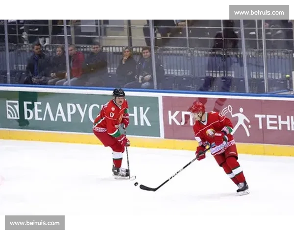 冰球世界的狂热粉丝，直播间评论区，你才是气氛组担当！