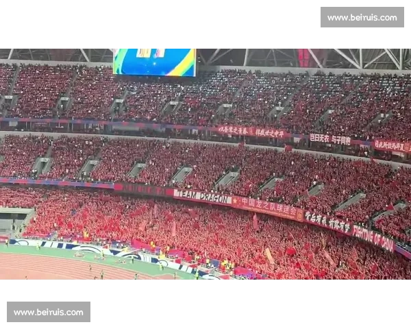 球迷声音：现场采访，为支持的球队呐喊助威