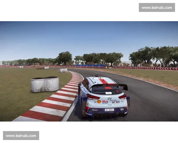 心跳加速！WRC世界拉力赛赛程出炉，备战新一轮速度与激情！