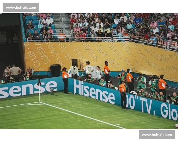 西雅图的夏天，因为2026世界杯而格外闪耀！